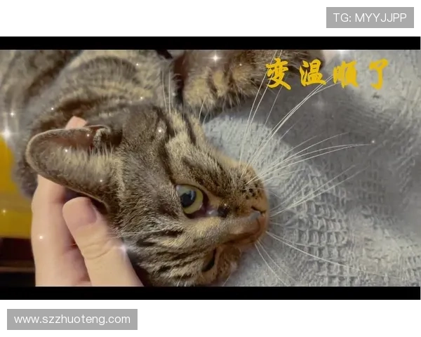 GAI 娣辨儏缈诲敱灏忓畤锛氭睙婀栫‖姹夌殑娓╂煍鍛婄櫧